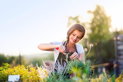 Tree removal process by experts in Finchley