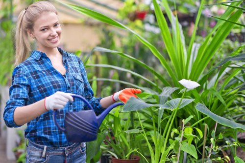 Gardener inspecting a residential garden in Finchley