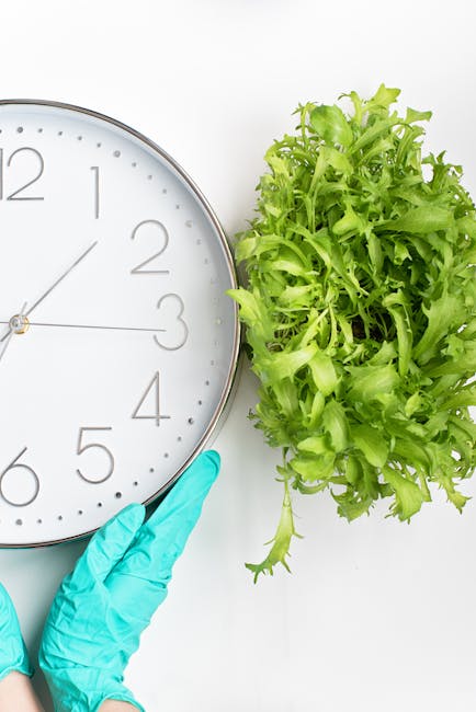 A close-up image of a large, round wall clock with a white face, black hour and minute hands, and black numbering, positioned on a plain white background. To the right of the clock is a lush, fresh gr